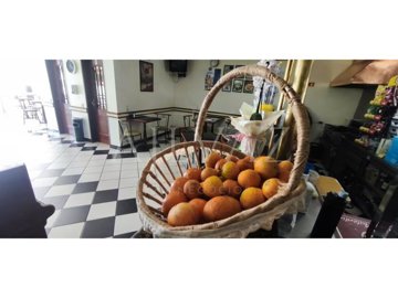 id7e35c401-0000-0500-0000-0000190e8546