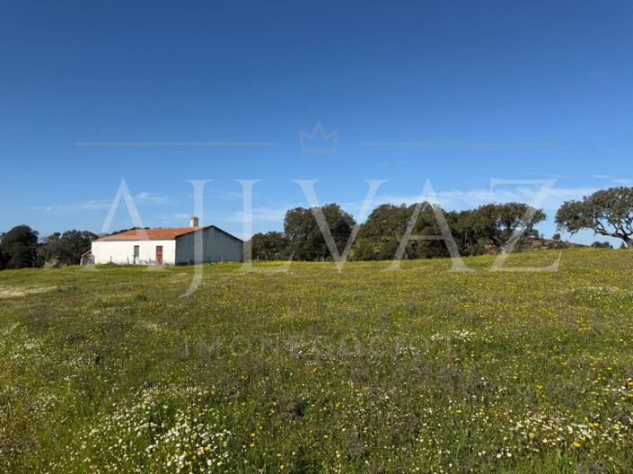 Image No.2-2 Bed Farmhouse for sale