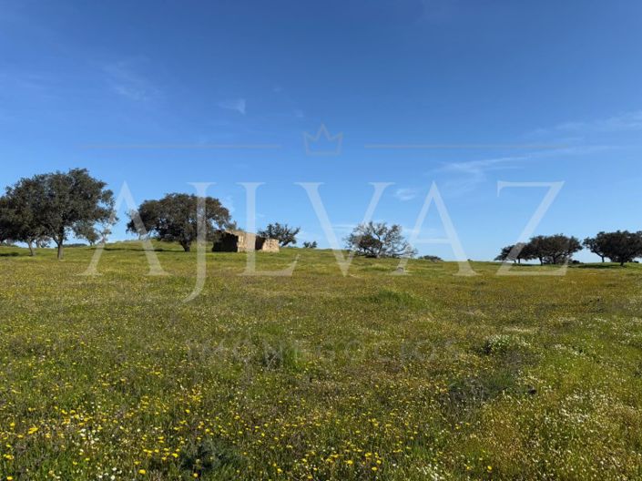 Image No.3-2 Bed Farmhouse for sale