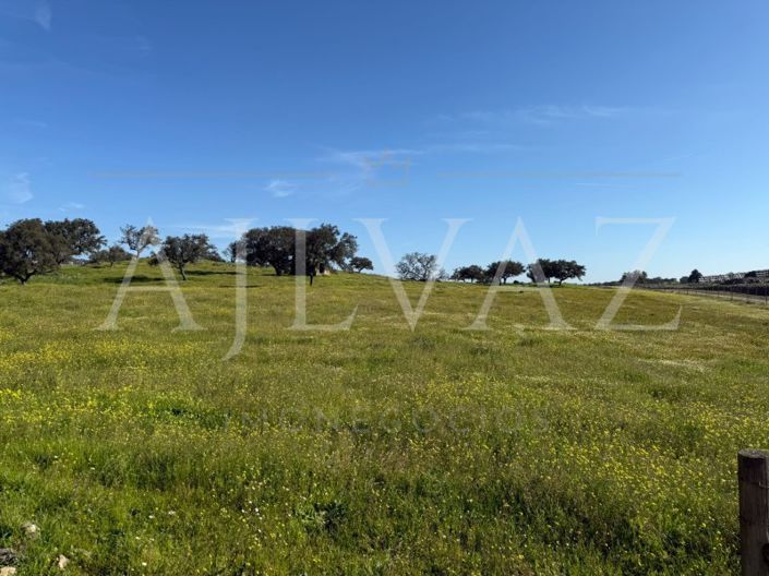 Image No.4-2 Bed Farmhouse for sale