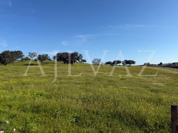 id4e0ac701-0000-0500-0000-000019029e73