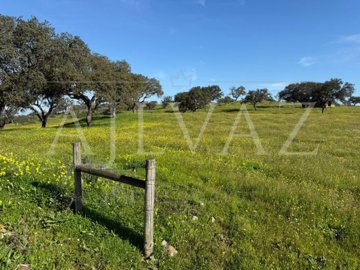 id4e0ac701-0000-0500-0000-000019029e71