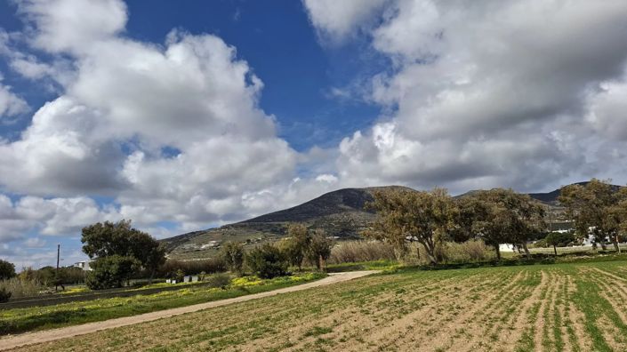 Image No.1-Land for sale