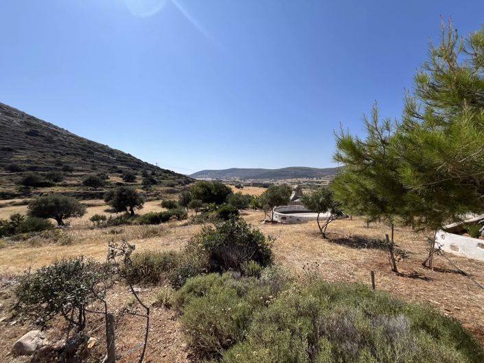 Image No.14-Maison de 1 chambre à vendre à Paros