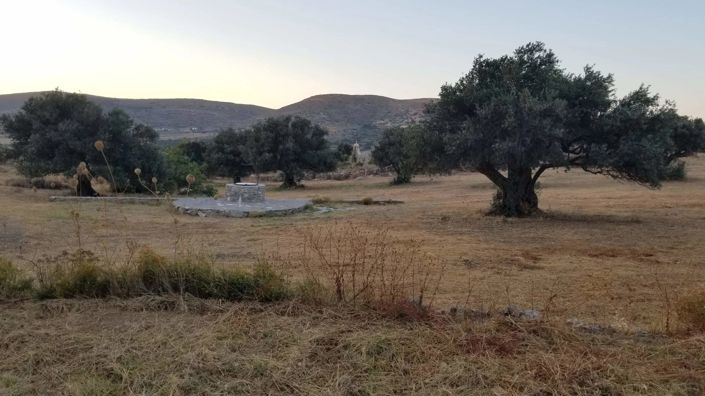 Image No.17-Maison de 1 chambre à vendre à Paros