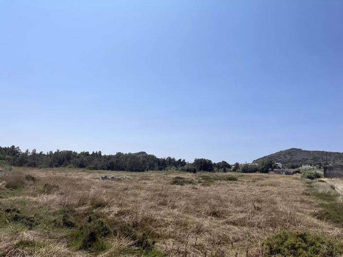 Image No.23-Terre à vendre à Paros