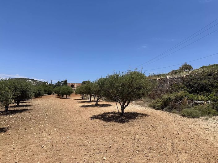 Image No.1-Land for sale