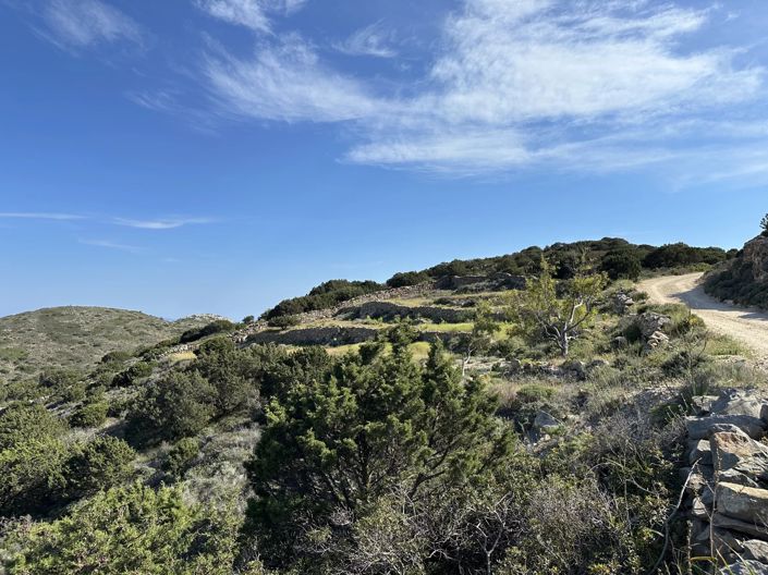 Image No.3-Land for sale