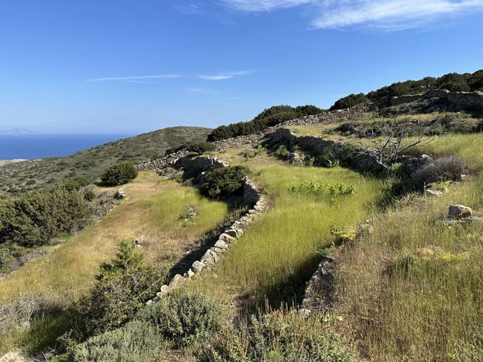 Image No.6-Land for sale