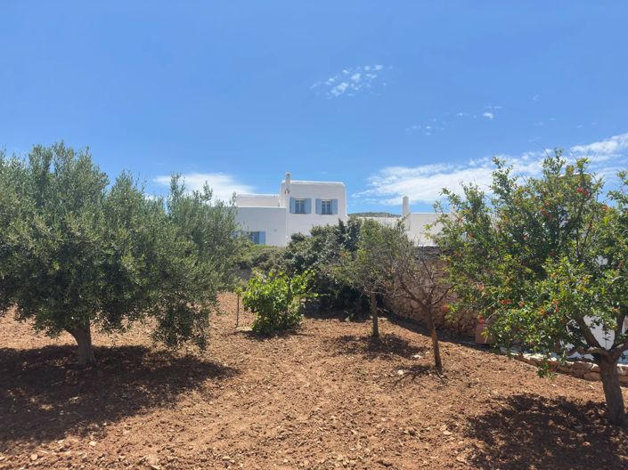 Image No.1-3 Bed House for sale