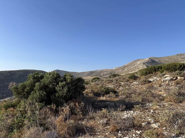 Image No.10-Terre à vendre à Paros