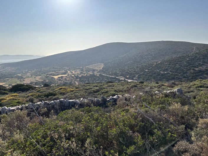 Image No.4-Terre à vendre à Paros