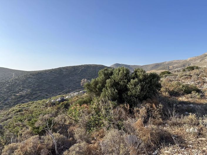 Image No.6-Terre à vendre à Paros