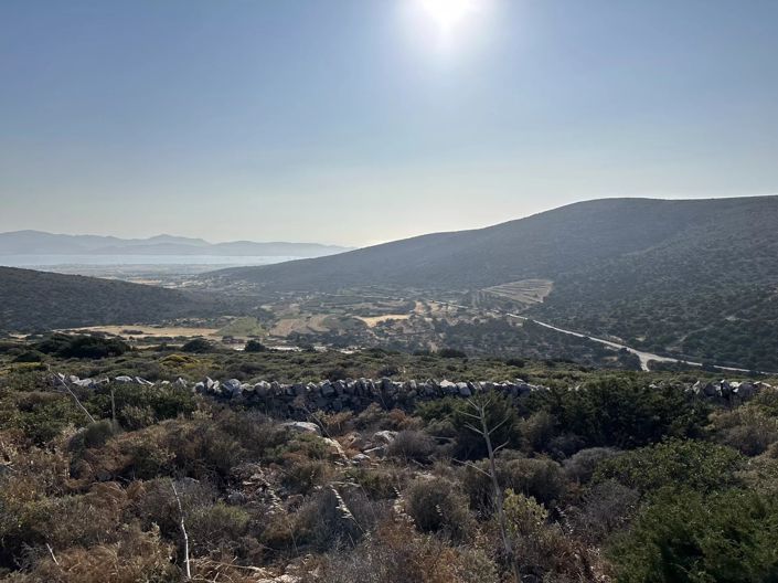 Image No.7-Terre à vendre à Paros