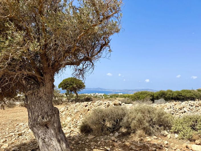 Image No.6-Land for sale