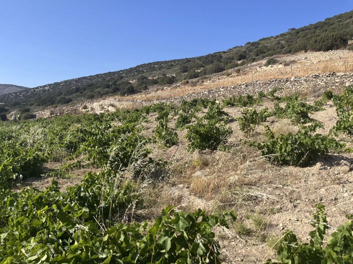 Image No.18-Land for sale