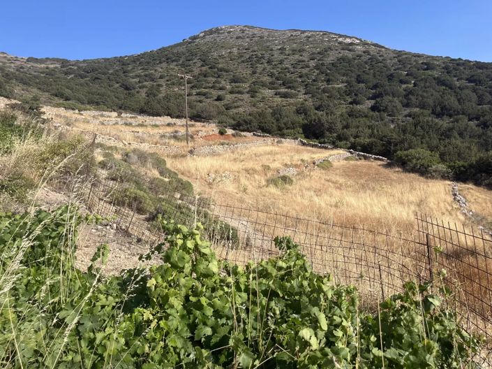 Image No.19-Land for sale