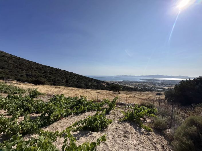 Image No.2-Land for sale