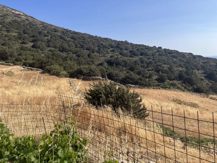 Image No.20-Land for sale