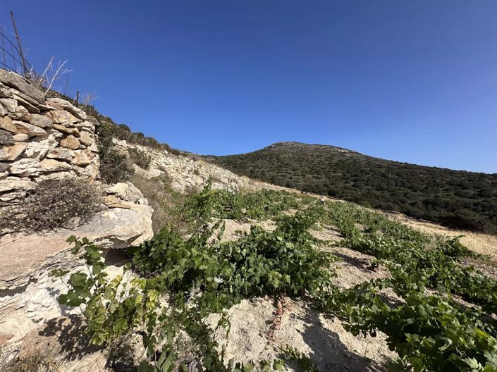 Image No.4-Land for sale