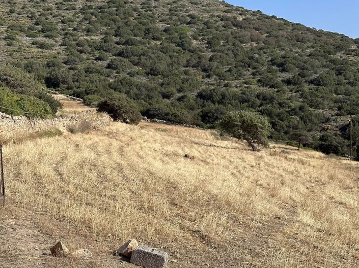 Image No.8-Land for sale