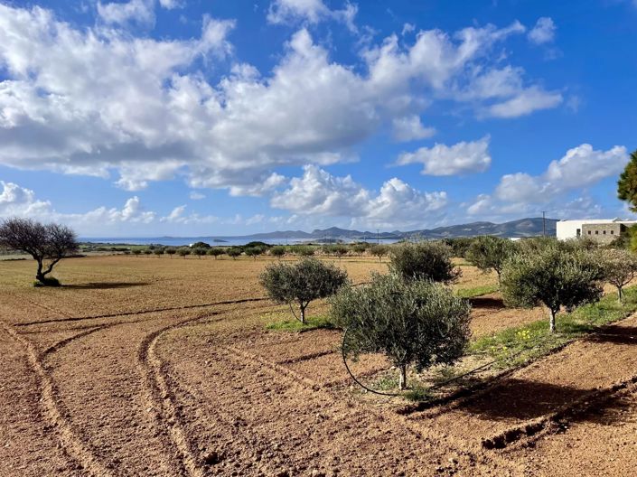 Image No.3-Land for sale