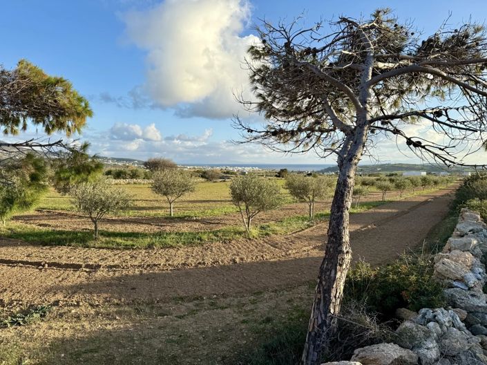 Image No.4-Land for sale