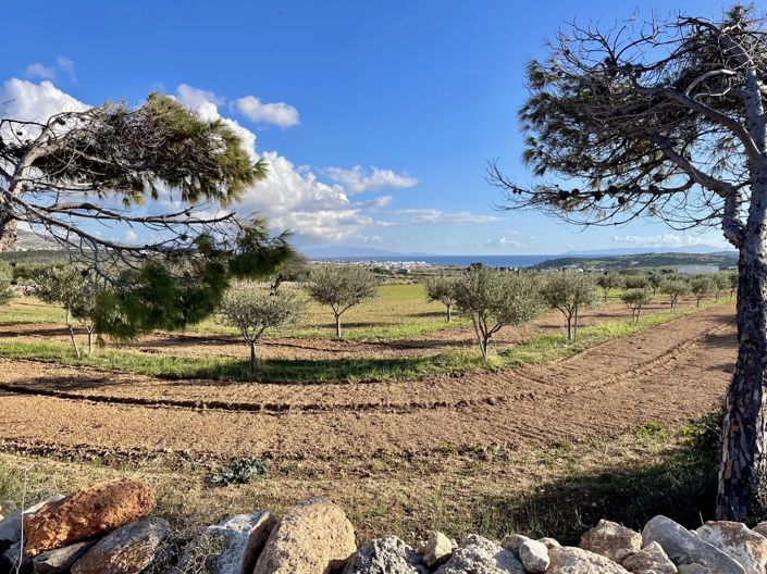 Image No.6-Land for sale