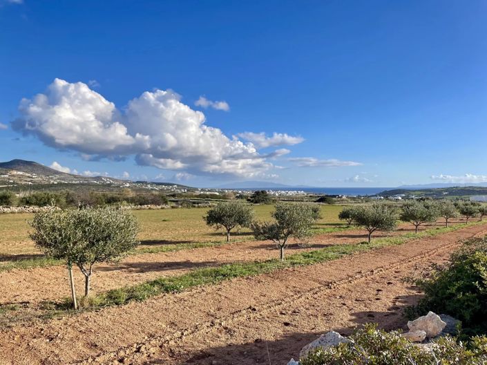 Image No.7-Land for sale