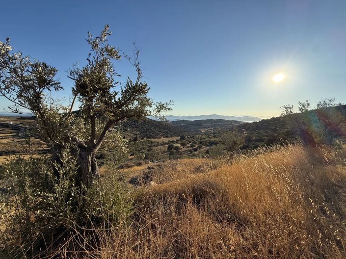 Image No.11-Land for sale