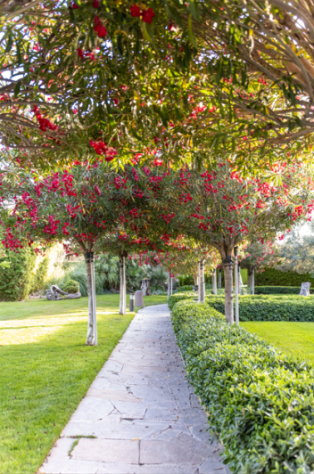 Image No.5-21 Bed Hotel for sale