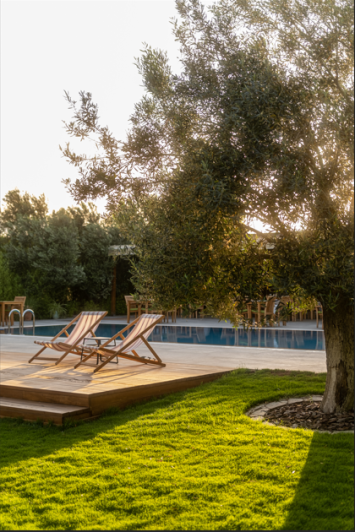 Image No.6-21 Bed Hotel for sale