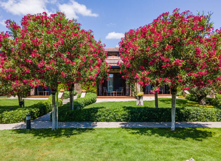 Image No.15-21 Bed Hotel for sale