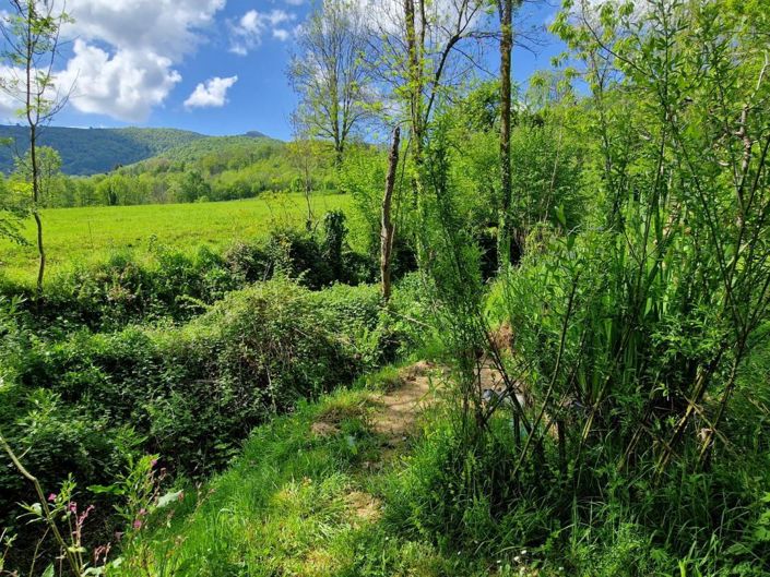 Image No.2-3 Bed House for sale