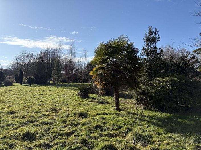 Image No.20-6 Bed House for sale