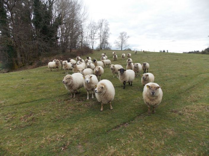 Image No.1-3 Bed Property for sale