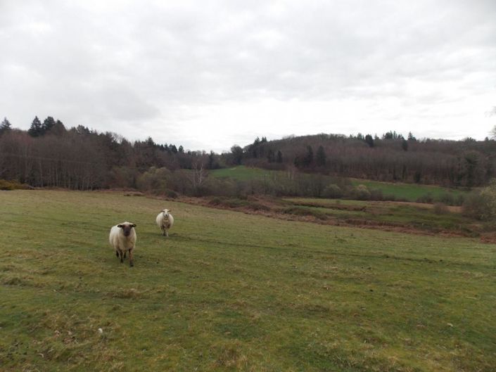 Image No.11-3 Bed Property for sale