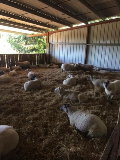 Image No.17-3 Bed Property for sale