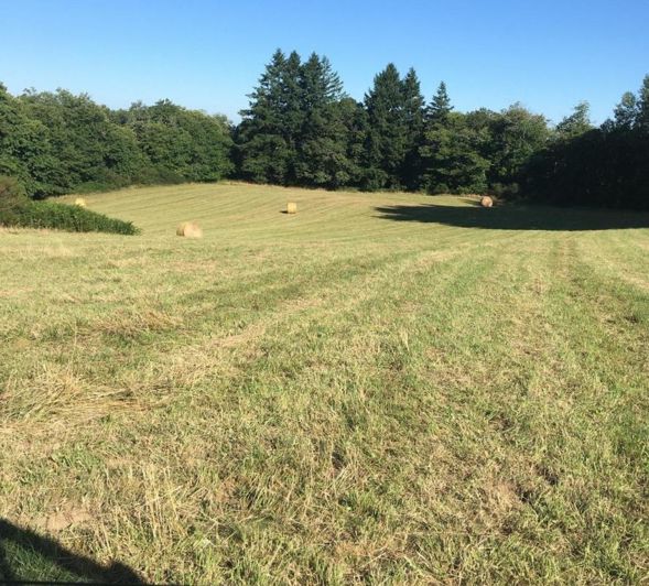 Image No.2-3 Bed Property for sale