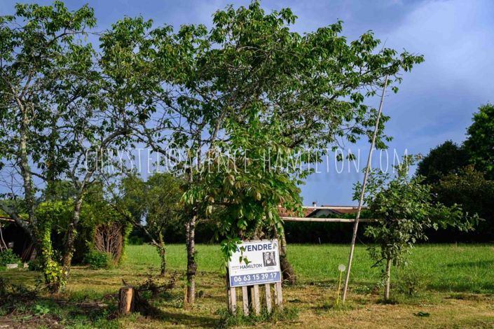 Image No.1-Property for sale