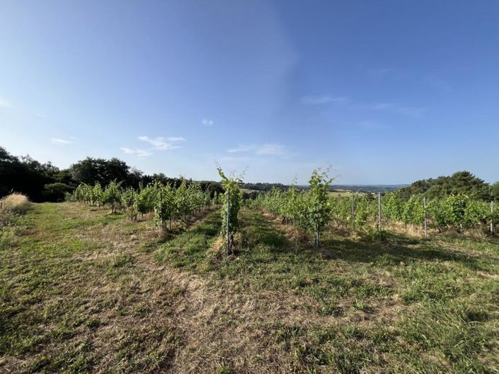 Image No.2-House for sale