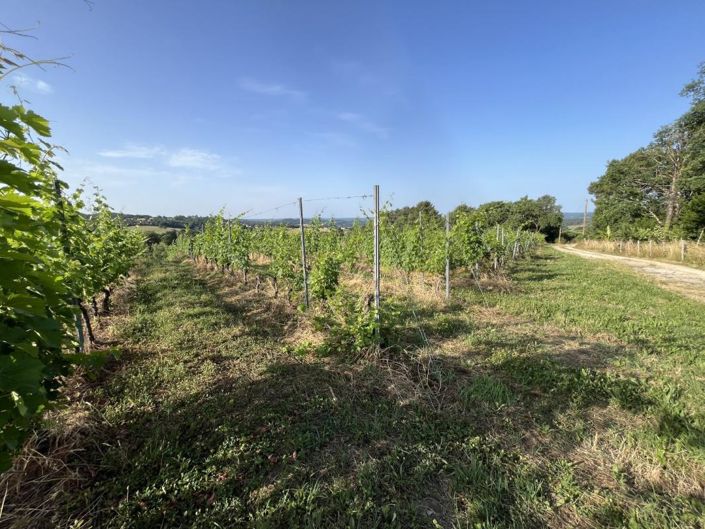 Image No.4-House for sale