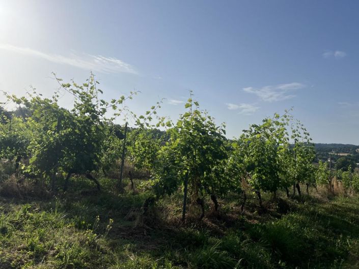 Image No.6-House for sale