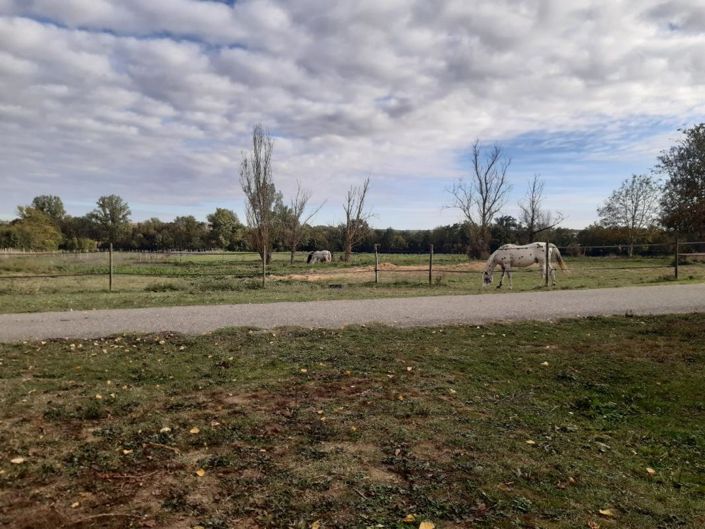 Image No.14-3 Bed Property for sale