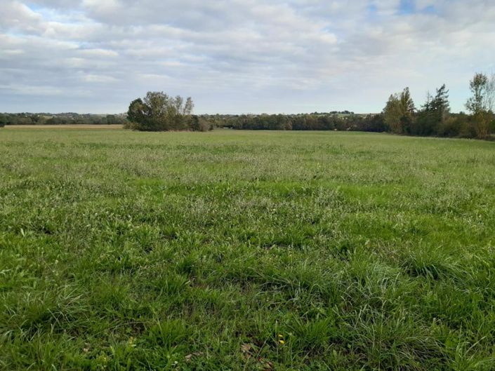 Image No.15-Propriété de 3 chambres à vendre à Fleurance