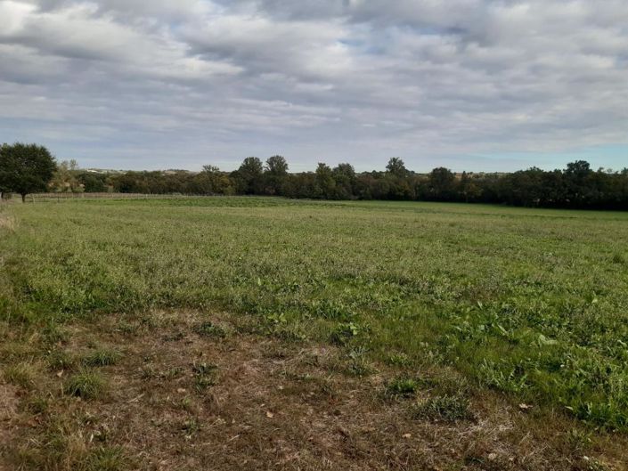 Image No.16-Propriété de 3 chambres à vendre à Fleurance