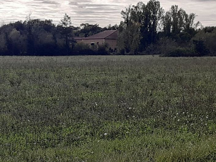 Image No.4-Propriété de 3 chambres à vendre à Fleurance