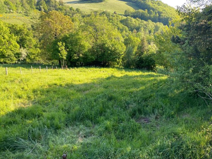 Image No.5-3 Bed Property for sale