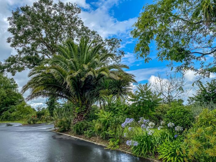 Image No.2-4 Bed Trullo for sale