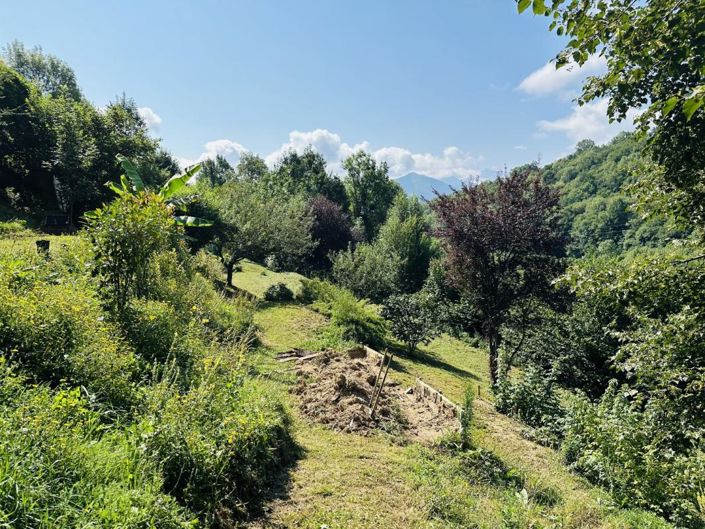 Image No.2-1 Bed House for sale